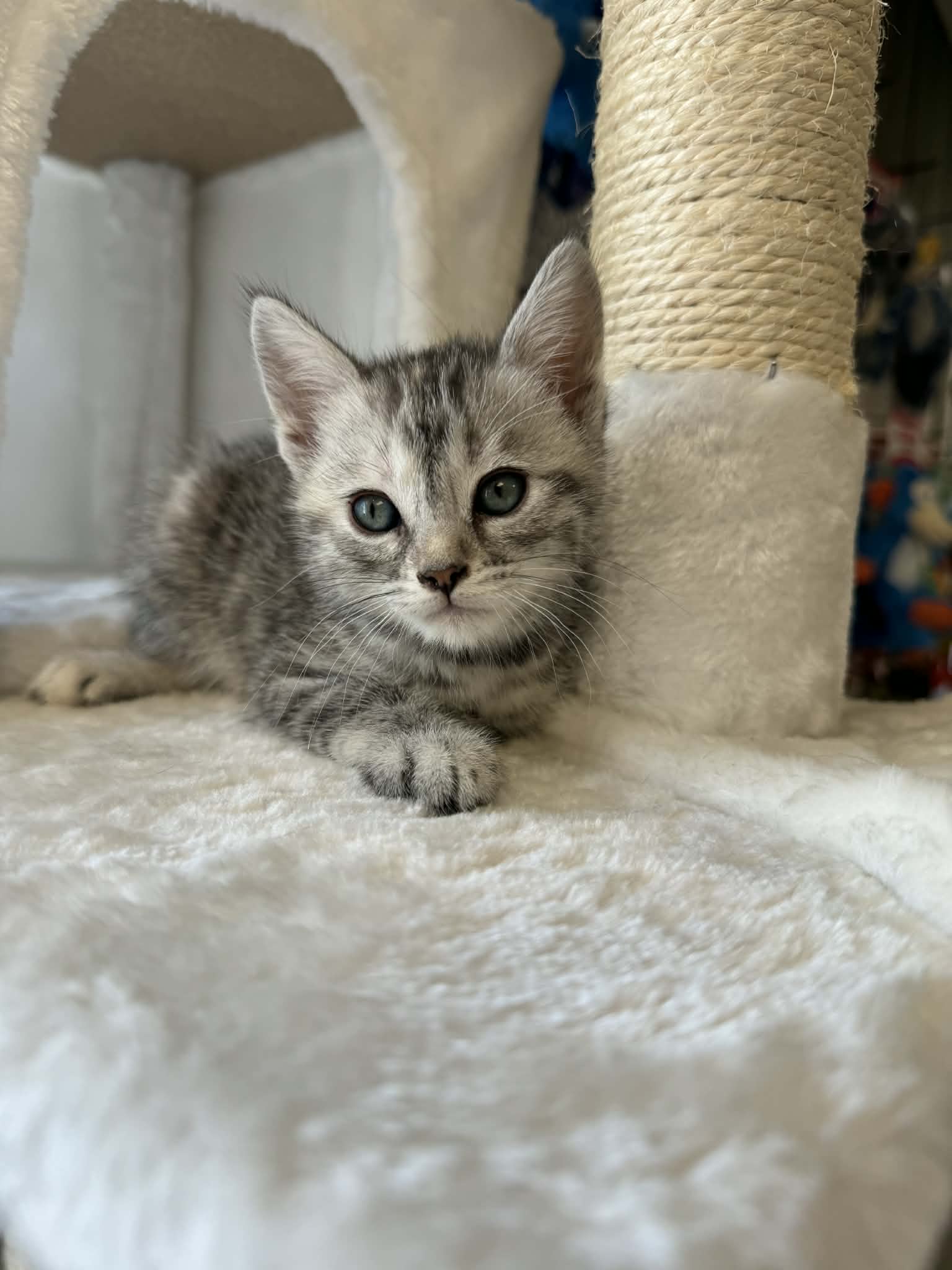Caramel